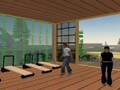 a Second Life for E-Health - Laval 08 Guarda video