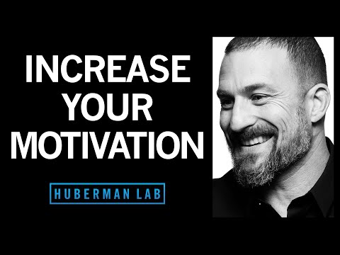 Andrew Huberman Podcast Notes -Episode 12 – Motivation & Drive