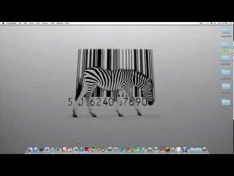 how to install skins in minecraft sp