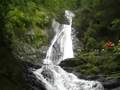 11 waterfalls Canopy tour with 25 zip lines & rappel