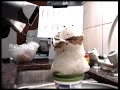 la sangrienta muerte de freezer