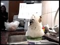 la sangrienta muerte de freezer