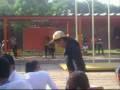 videos de video de despedida CIB 2008 parte 1 - 3