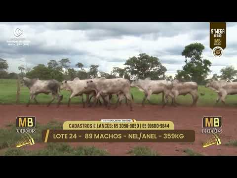 9� MEGA LEIL�O DA MB LEIL�ES