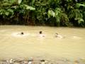 videos de jhonnatan lara Nadando.MOV