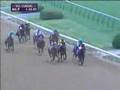 Fantasy Horse Race
