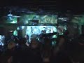 Echo Grey - New Song \"Cataract\" Echo Grey - New Song \"Cataract\"