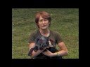little victories animal rescue, ona, wv