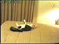 Cat Runs Into Wall! PWND BAD! Cat Runs Into Wall! PWND BAD!