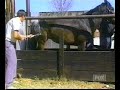 HORSE KICK..guy gets kIcked HARD