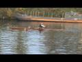 Myrthe voor Nereus