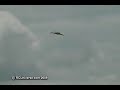 Joe Nall 2009 - Jet Powered Seaplane