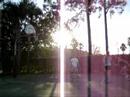 Flordia Basketball