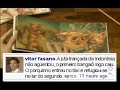 Os 3 porquinhos versão Vitor Fasano do Twitter Os 3 porquinhos versão Vitor Fasano do Twitter