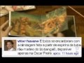 Os 3 porquinhos versão Vitor Fasano do Twitter