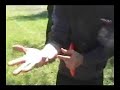 The Ultimate Disc Golf Show/ FGCU Clinic