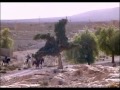 Click here to watch this video Equidia_Rêve de randonnée_extrait_2.mpg