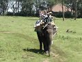 Elephant Ride Elephant Ride
