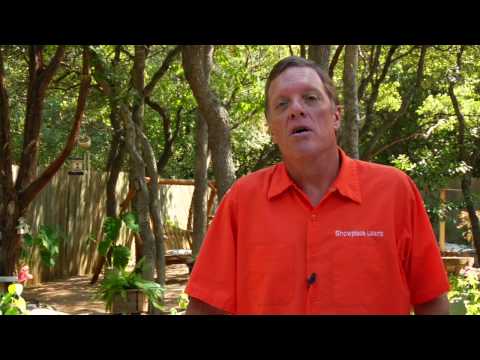 how to eliminate clover from a lawn