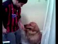 dog hump