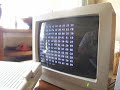 second life on an apple ii