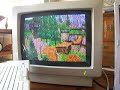 second life on an apple ii