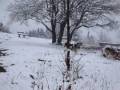Czarastro im Schnee - 14.11.2008