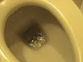 Fun with  Japanese Toilet