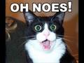 videos de Oh noes
