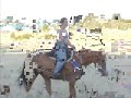Nasdaq horse first canter with rider
