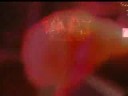 twisted sister   burn in hell