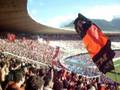 videos de 1º Gol do mengão contra o Porquinho