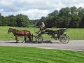 Carriage at Capella Castlemartyr