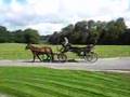 Carriage at Capella Castlemartyr
