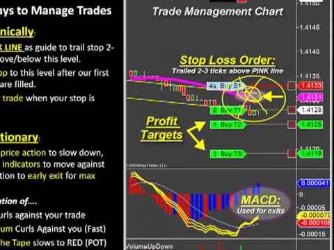 how to trade in e gold in india