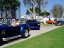 Cobra at San Diego Corvette Show