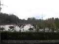 雹が降る