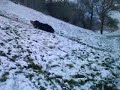 MOV00241.MP4