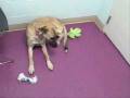 videos de Mint.wmv