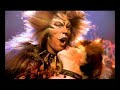 Cats - Etcy and Tugger - Boy Like You