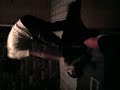 Video0045,,