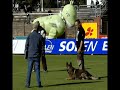 Preview video Kuba vom Fluchtweg BSP 2011  C