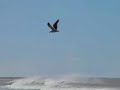 Tierra del Fuego