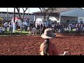 Click here to watch this video Caxopa, everton, felipe , odilson e robson