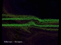 Hallucinogen - Horrorgram