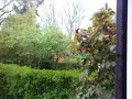 Test LG KF600