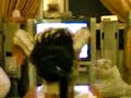 jawaher at 2 dancing and singing 
