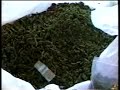 Herbal Bath in 22 pounds of Marijuana