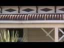 McCollums in Gisborne 2