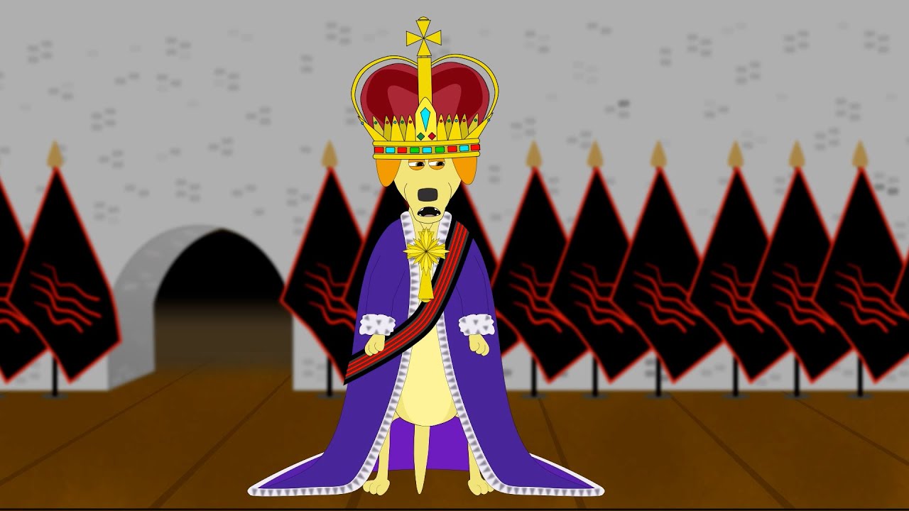 YOUR QUESTIONS ANSWERED